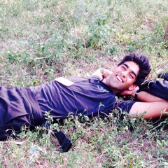 Mohammad Zafar Ullah Khan