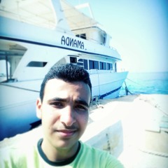 Mahmoud K. Aman