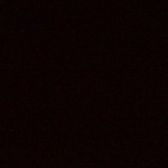 dayshia.