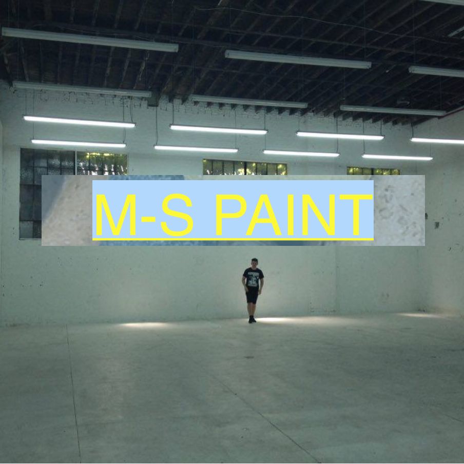 M-S PAINT