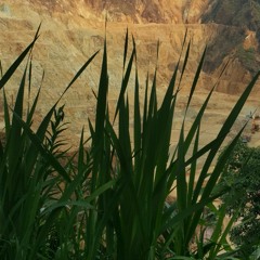 ဝေလ - နောင်တ