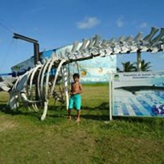 João Vitor Baltorê