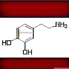 The Swearjar Millionaire