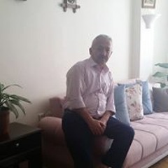Şarkilar