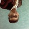 Anees