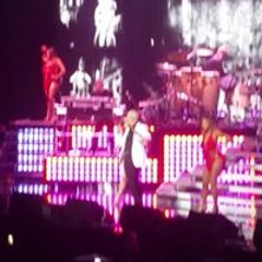 Stephanie Elizabeth Ortiz