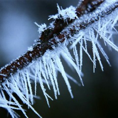 icespikes12