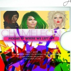 TRANSGENDER (GIRLGROUP)CHAMELEON