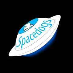 The Spacedogs