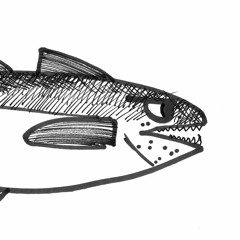 Alaska Seelachs Quartett