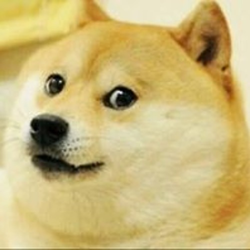 Stream Such A Doge music | Listen to songs, albums, playlists for free