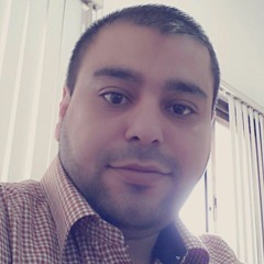 Ahmed T Alnaffar