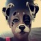 callipooh