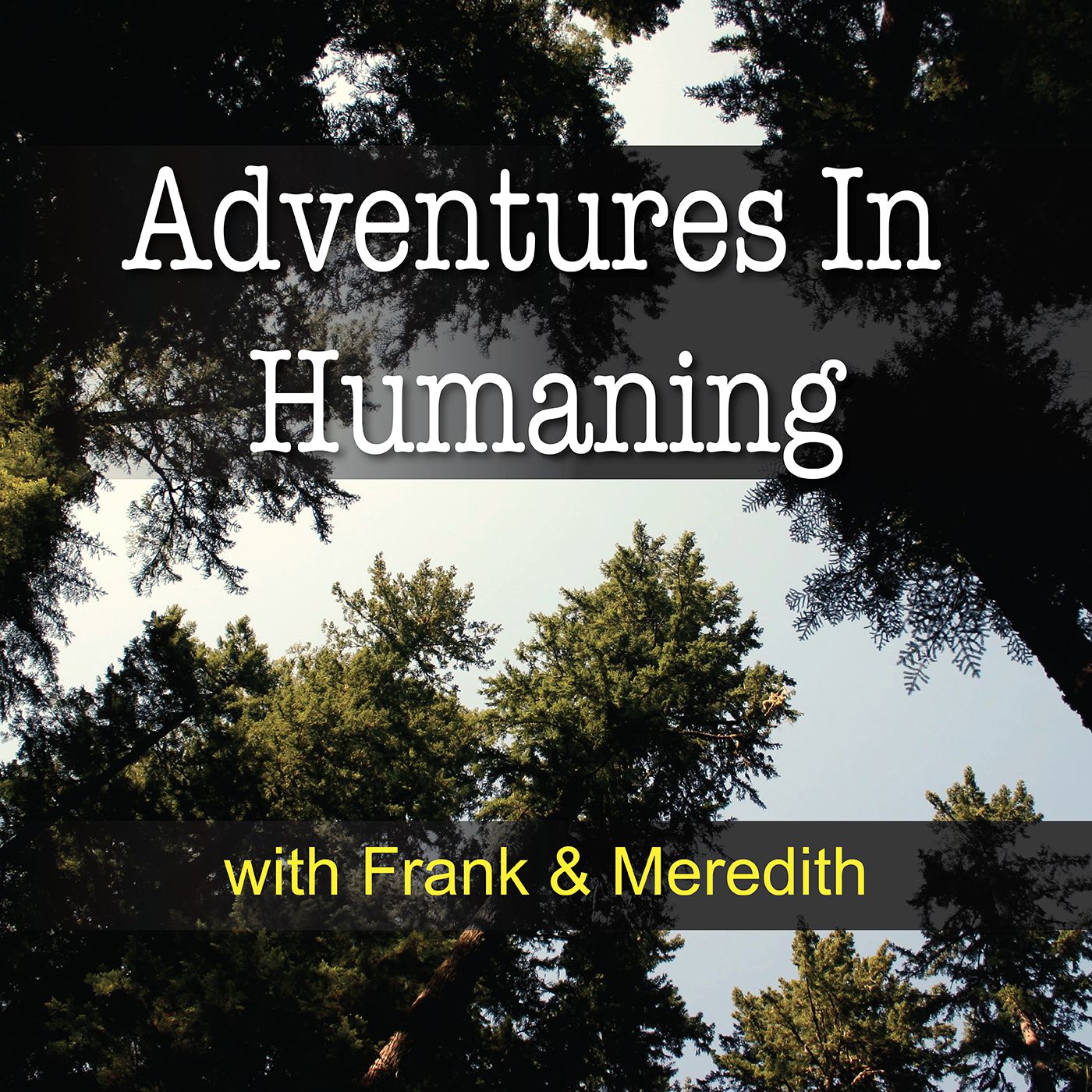 Adventures in Humaning podcast artwork