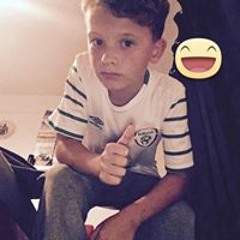 Noot Noot Paul Mooney