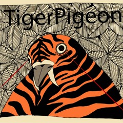 Tigerpigeon