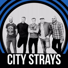 CityStrays