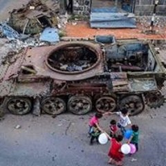 محمود المالكى