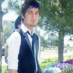 MR SHAH