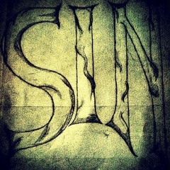 S.I.N.