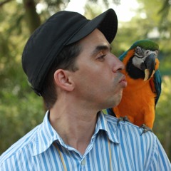 Hamid streaming