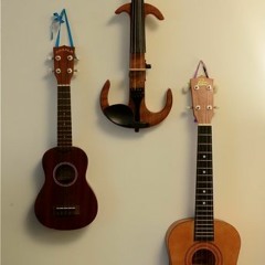 Whidbey Island Folk University (WI Folk U)