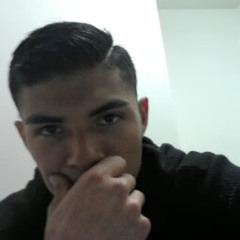 Carlos E. Ibarra (NeTOo)