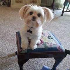 Barbara Claustre Harbert