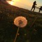 Kate Francis Original Music (Nature Sound/Ambient)