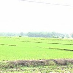 Kwee Hein Htet