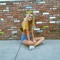 a_schwaggg