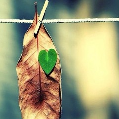 Aap ki nazron na smjha pyar k qabil mujhy