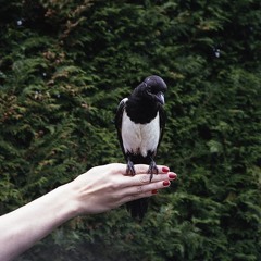 rosie andrew hardwicke