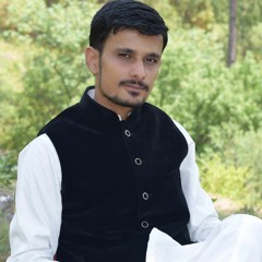 Syed Nasir Ali