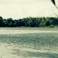 FISH GUY STUFF OCEAN STAY LIKE THIS