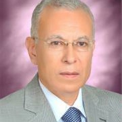 Prof-Nabil Elminshawy