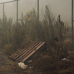 Willena A p McGovern