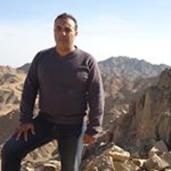 Essam Mohamed