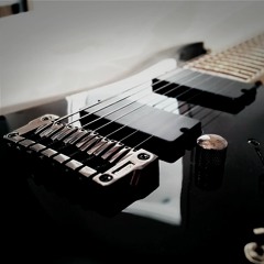 Wernichtwillderhatschon