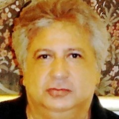 Ahmed Hosni Amer