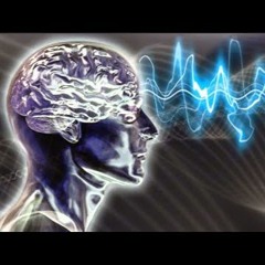 Kosmic Flow