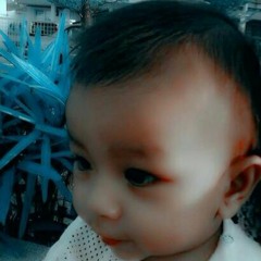 CdaXX