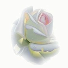 Jan Shoemaker Murphy