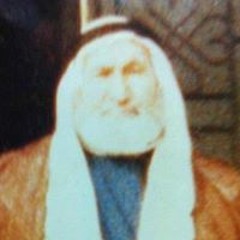 نس ال نب