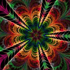 mokkarocker