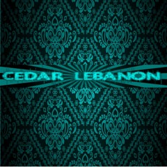 Damian Lillard - So Gone Challenge (Cedar Lebanon Master)