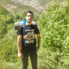 Ehsan Aghajouei