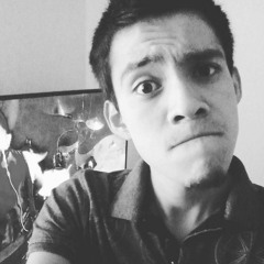 Luis David Urdapilleta