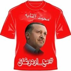 محمد يوسف التايه