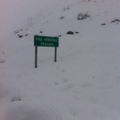 Rodrigo Torres Silva